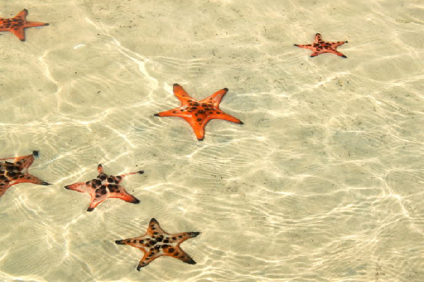 5D4N PHU QUOC ISLAND TOUR - photo 11